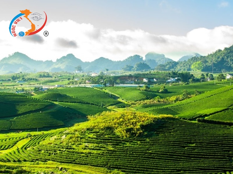 SAPA - LAI CHÂU - ĐIỆN BIÊN - MỘC CHÂU - MAI CHÂU