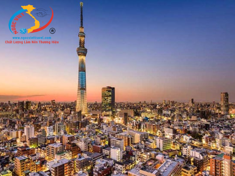 TOUR NHẬT BẢN - TRƯỢT TUYẾT VÀ NGẮM HOA MƠ - TẾT NGUYÊN ĐÁN 2026