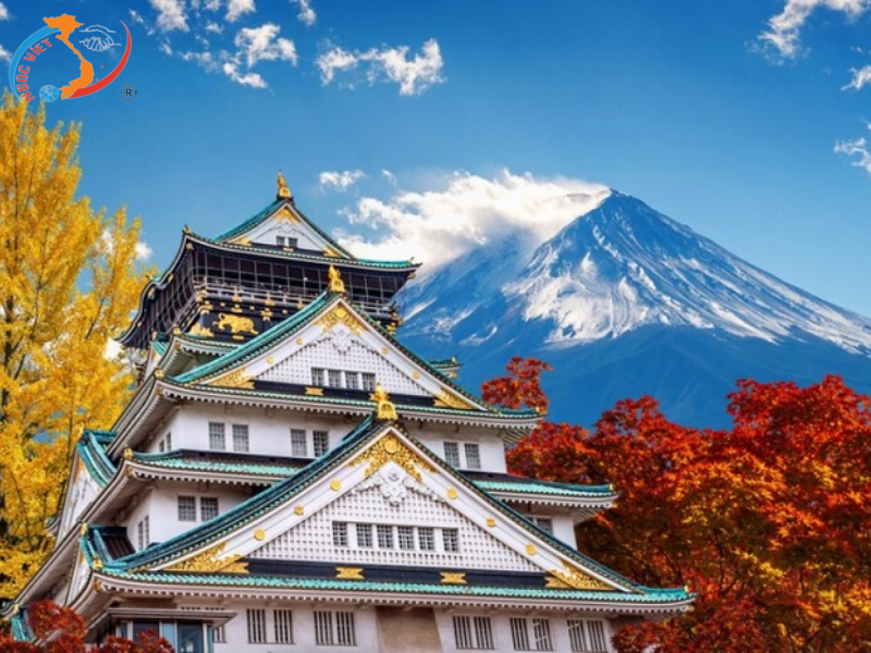 TOUR JAPAN - NARITA – TOKYO – FUJI –  NAGOYA – KANSAI ( Mùng 3 Tết )